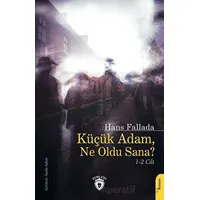 Küçük Adam, Ne Oldu Sana? - Hans Fallada - Dorlion Yayınları