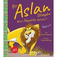 Bir Aslan Olsaydın Nasıl Hayatta Kalırdın? - David Stewart - Masalperest