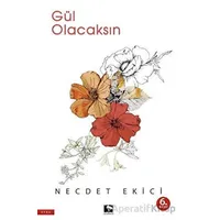 Gül Olacaksın - Necdet Ekici - Çınaraltı Yayınları