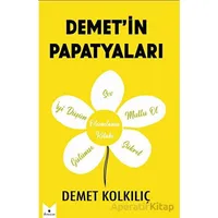 Demet’in Papatyaları - Demet Kolkılıç - Serencam Yayınevi
