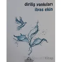 Diriliş Yankıları - İlyas Ekin - Cağaloğlu Yayınevi