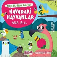 Havadaki Hayvanlar - Ara Bul - Allah Ne Güzel Yaratmış - Hekimoğlu İsmail - Timaş Gülce Çocuk