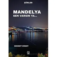 Mandelya Sen Varsın Ya… - Necdet Ersoy - Luna Yayınları