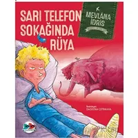 Sarı Telefon Sokağında Rüya - Mevlana İdris - Vak Vak Yayınları