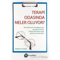 Terapi Odasında Neler Oluyor? - Stephen Joseph - Kuraldışı Yayınevi