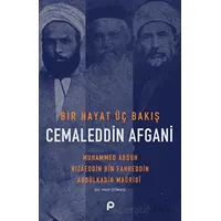 Bir Hayat Üç Bakış Cemaleddin Afgani - Rızaeddin Bin Fahreddin - Pınar Yayınları
