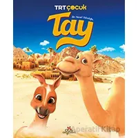 Tay - Bir Hicret Yolculuğu - Kolektif - Düş Değirmeni