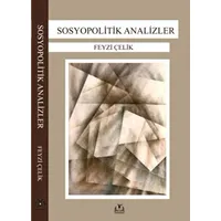 Sosyopolitik Analizler - Feyzi Çelik - Sidar Yayınları