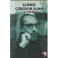 Elimde Çürüyor Elma - A. Galip - Klaros Yayınları