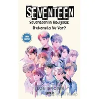 Seventeen - Sue Brown - Gece Kitaplığı