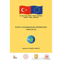 Üstün Yetenekliler Eğitimi İçin Toplum 5.0 - Melike Bahar Tike Tetik - Kriter Yayınları
