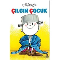 Çılgın Çocuk - Ziraldo - Doğan Çocuk