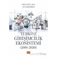 Türkiye Girişimcilik Ekosistemi (2001-2020) - Ata Özdemirci - Nobel Bilimsel Eserler