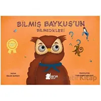 Bilmiş Baykuş’un Bilmedikleri - Özlem Sarısoy - Parya Kitap