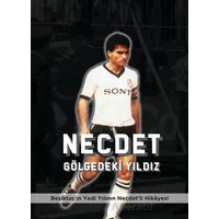 Necdet Gölgedeki Yıldız - İlker Pırlant - Kırk Yayınevi