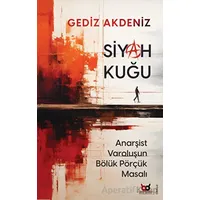 Siyah Kuğu - Gediz Akdeniz - Beyaz Baykuş Yayınları