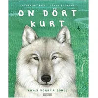 On Dört Kurt - Catherine Barr - Ketebe Çocuk