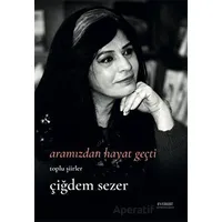 Aramızdan Hayat Geçti - Çiğdem Sezer - Everest Yayınları