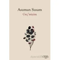Geç’mişim - Asuman Susam - Everest Yayınları