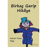 Birkaç Garip Hikaye - Hande Turan Page - Cinius Yayınları