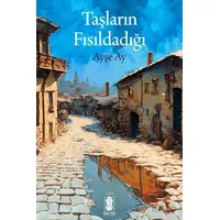 Taşların Fısıldadığı - Ayşe Ay - Mavi Gök Yayınları
