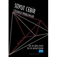 Soyut Cebir Çözümlü Problemleri - Muttalip Özavşar - Nobel Akademik Yayıncılık