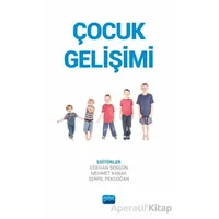 Çocuk Gelişimi - Kolektif - Nobel Akademik Yayıncılık