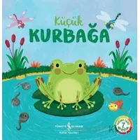 Küçük Kurbağa - Wednesday Jones - İş Bankası Kültür Yayınları