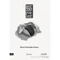 Serzenişler - Meral Tabakoglu Toksoy - İkinci Adam Yayınları