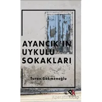 Ayancık’ın Uykulu Sokakları - Turan Gökmenoğlu - Panu Kitap