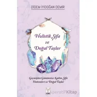 Holistik Şifa ve Doğal Taşlar - Didem İyidoğan Demir - Feniks Yayınları