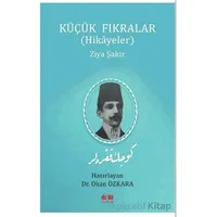 Küçük Fıkralar - Ziya Şakir - Akıl Fikir Yayınları