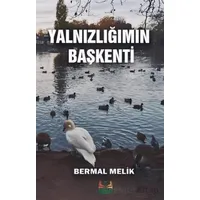 Yalnızlığımın Başkenti - Bermal Melik - Sidar Yayınları