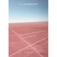Parçalanmış Bakış - İvan Vladislavic - Livera Yayınevi