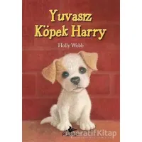 Yuvasız Köpek Harry - Holly Webb - Pegasus Çocuk Yayınları