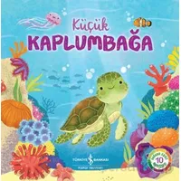 Küçük Kaplumbağa - Wednesday Jones - İş Bankası Kültür Yayınları