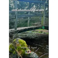 Anlatamadıklarım - Mehmet Aysal - Tilki Kitap