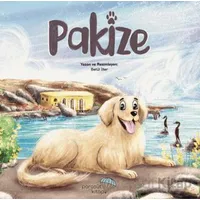 Pakize - Betül İlter - Paraşüt Kitap