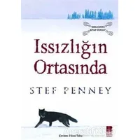 Issızlığın Ortasında - Stef Penney - Bilge Kültür Sanat