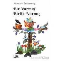 Bir Varmış Birlik Varmış - Handan Belivermiş - Nesin Yayınevi