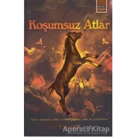 Koşumsuz Atlar - Ali Akın - Eğitim Yayınevi