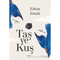 Taş ve Kuş - Erkan Irmak - Everest Yayınları