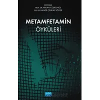 Metamfetamin Öyküleri - Hande Çelikay Söyler - Nobel Akademik Yayıncılık