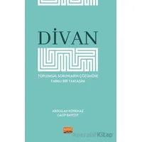 Divan - Toplumsal Sorunların Çözümüne Farklı Bir Yaklaşım - Galip Bayezit - Nobel Bilimsel Eserler