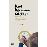 Özel Öğrenme Güçlüğü (Rehberlik ve Araştırma Merkezlerinde Tanı, Değerlendirme ve İzleme Süreçleri)