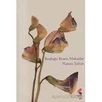 Boşluğu Kesen Makaslar - Nazan Şahin - Klaros Yayınları