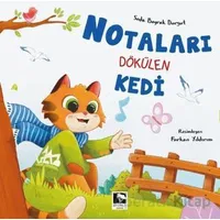 Notaları Dökülen Kedi - Seda Bayrak Durgut - Çınaraltı Yayınları