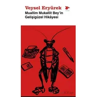 Muallim Mukallit Beyin Gelişigüzel Hikayesi - Veysel Eryürek - Alakarga Sanat Yayınları