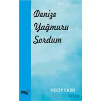 Denize Yağmuru Sordum - Necip Eren - Sınırsız Kitap