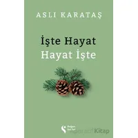 İşte Hayat Hayat İşte - Aslı Karataş - Doğan Solibri